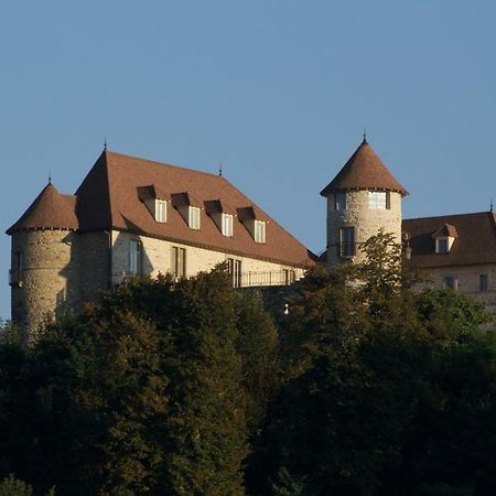 La Tour De Quinsonnas Bed and Breakfast Serezin-de-la-Tour Exteriör bild