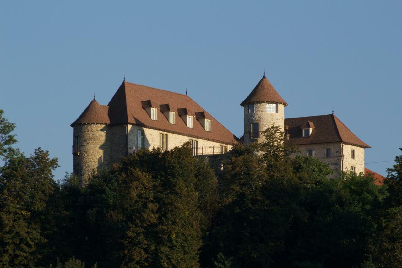 La Tour De Quinsonnas Bed and Breakfast Serezin-de-la-Tour Exteriör bild